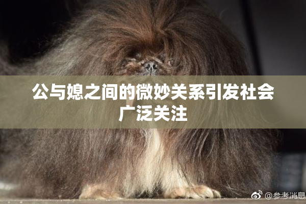 公与媳之间的微妙关系引发社会广泛关注