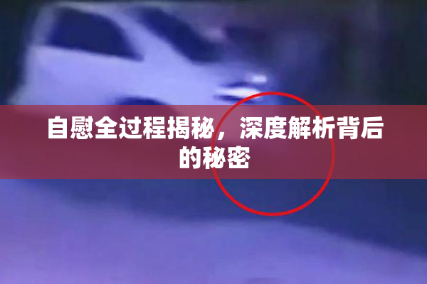 自慰全过程揭秘，深度解析背后的秘密