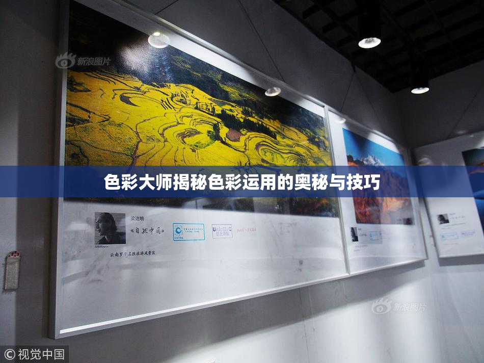 色彩大师揭秘色彩运用的奥秘与技巧