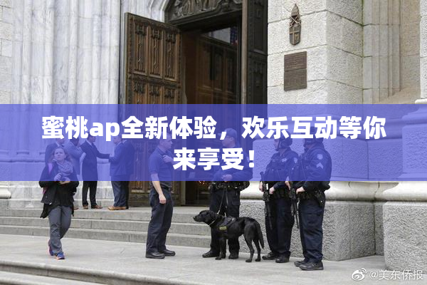蜜桃ap全新体验，欢乐互动等你来享受！