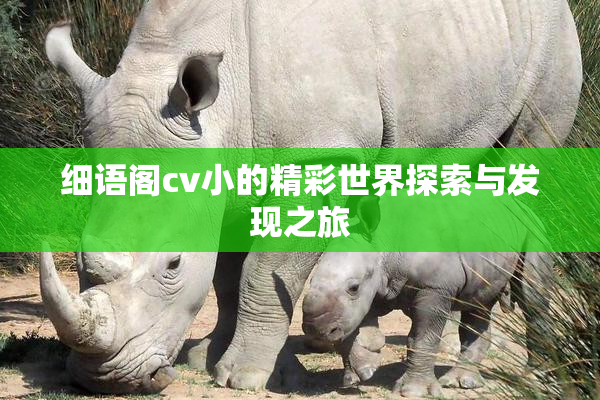 细语阁cv小的精彩世界探索与发现之旅