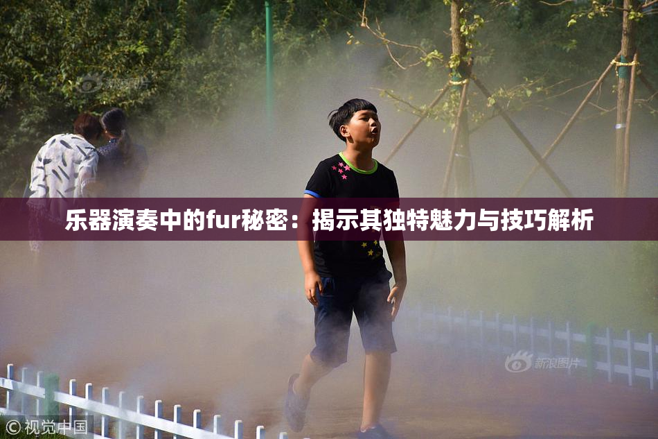 乐器演奏中的fur秘密：揭示其独特魅力与技巧解析