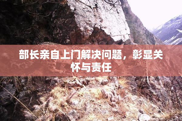 部长亲自上门解决问题，彰显关怀与责任
