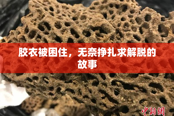 胶衣被困住，无奈挣扎求解脱的故事