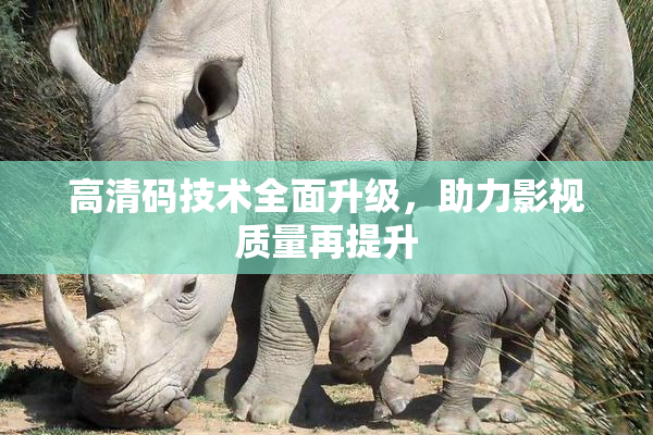 高清码技术全面升级，助力影视质量再提升