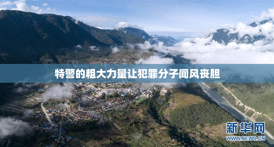 特警的粗大力量让犯罪分子闻风丧胆
