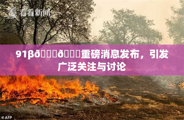 91β🍆🍆重磅消息发布，引发广泛关注与讨论