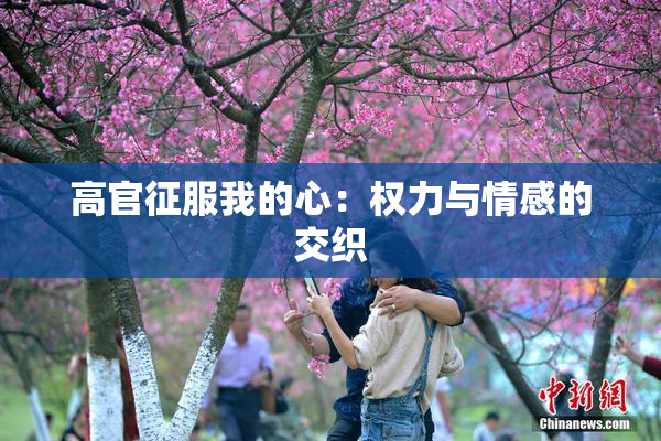 高官征服我的心：权力与情感的交织