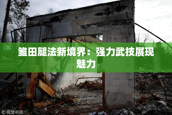 雏田腿法新境界：强力武技展现魅力