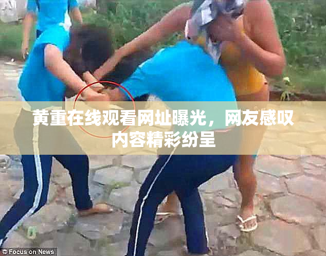 黄重在线观看网址曝光，网友感叹内容精彩纷呈