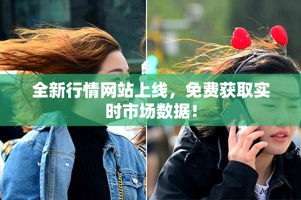 全新行情网站上线，免费获取实时市场数据！