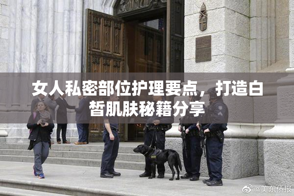 女人私密部位护理要点，打造白皙肌肤秘籍分享