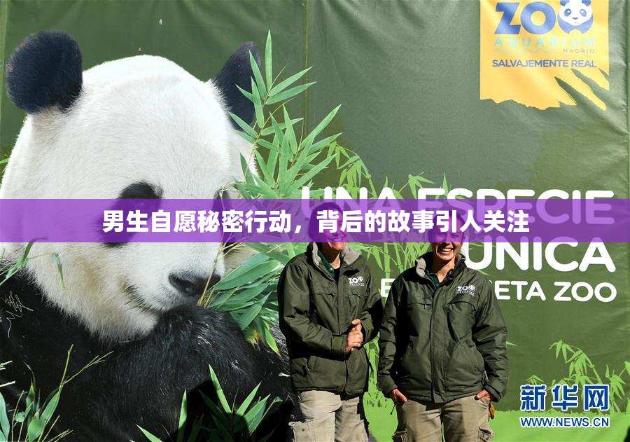 男生自愿秘密行动，背后的故事引人关注