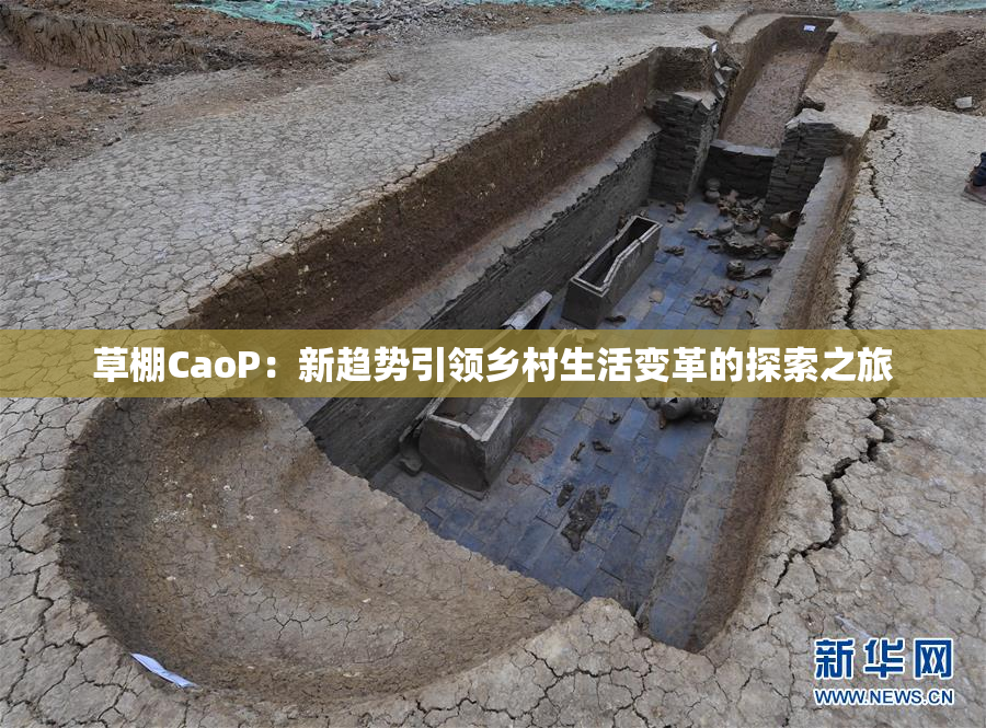 草棚CaoP：新趋势引领乡村生活变革的探索之旅