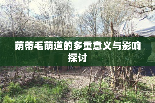 荫蒂毛荫道的多重意义与影响探讨