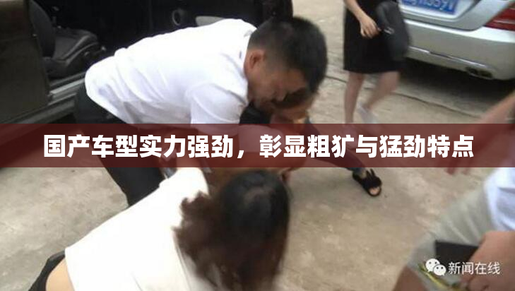 国产车型实力强劲，彰显粗犷与猛劲特点