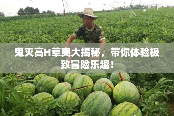 鬼灭高H荤爽大揭秘，带你体验极致冒险乐趣！