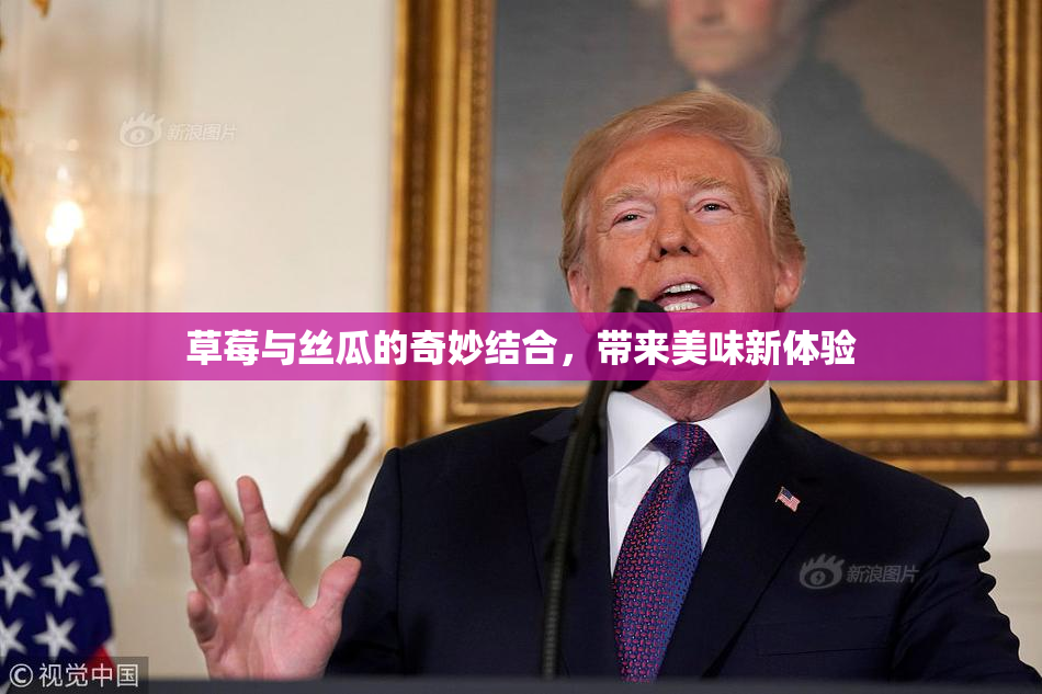 草莓与丝瓜的奇妙结合，带来美味新体验