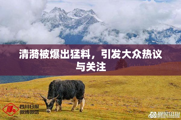清漪被爆出猛料，引发大众热议与关注