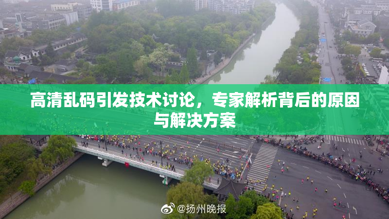 高清乱码引发技术讨论，专家解析背后的原因与解决方案