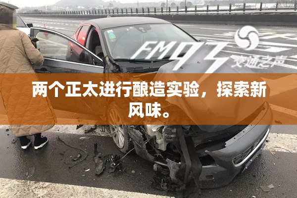 两个正太进行酿造实验，探索新风味。
