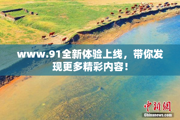 www.91全新体验上线，带你发现更多精彩内容！