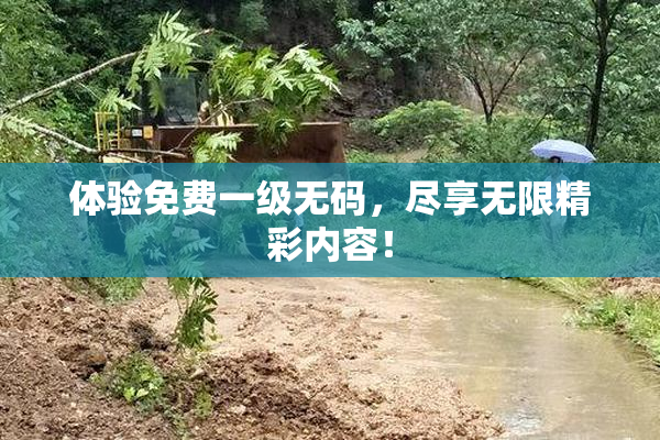 体验免费一级无码，尽享无限精彩内容！