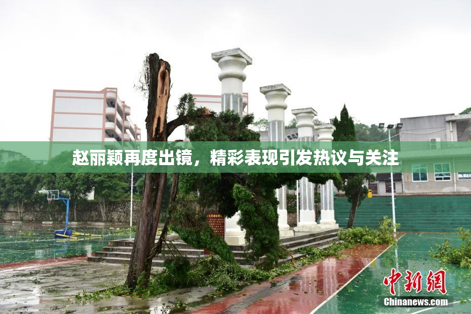 赵丽颖再度出镜，精彩表现引发热议与关注