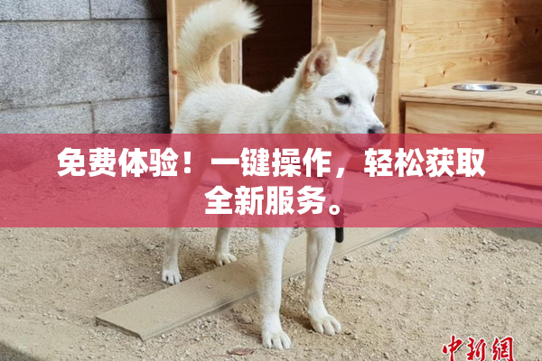 免费体验！一键操作，轻松获取全新服务。
