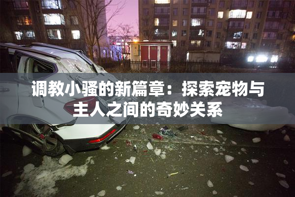 调教小骚的新篇章：探索宠物与主人之间的奇妙关系