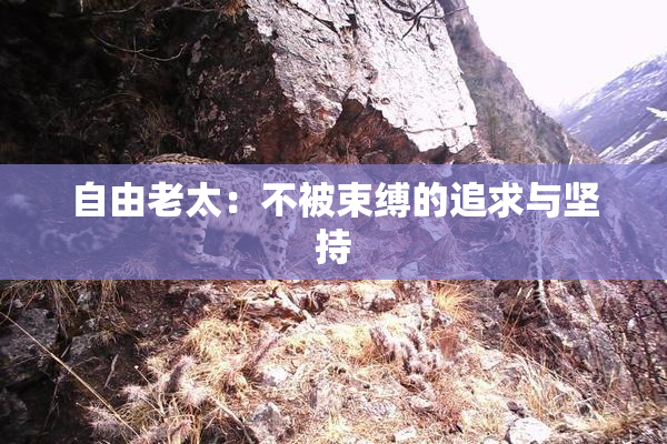 自由老太：不被束缚的追求与坚持