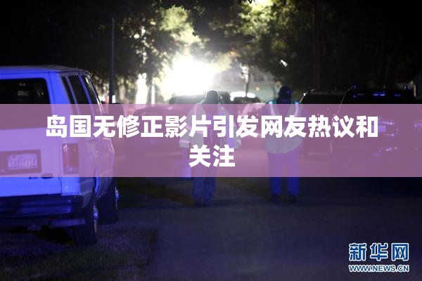 岛国无修正影片引发网友热议和关注