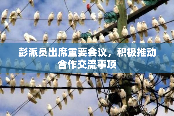 彭派员出席重要会议，积极推动合作交流事项