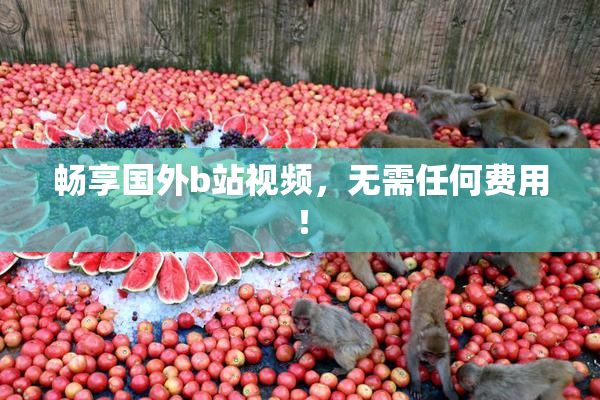 畅享国外b站视频，无需任何费用！