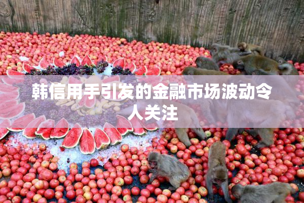 韩信用手引发的金融市场波动令人关注