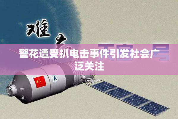 警花遭受扒电击事件引发社会广泛关注