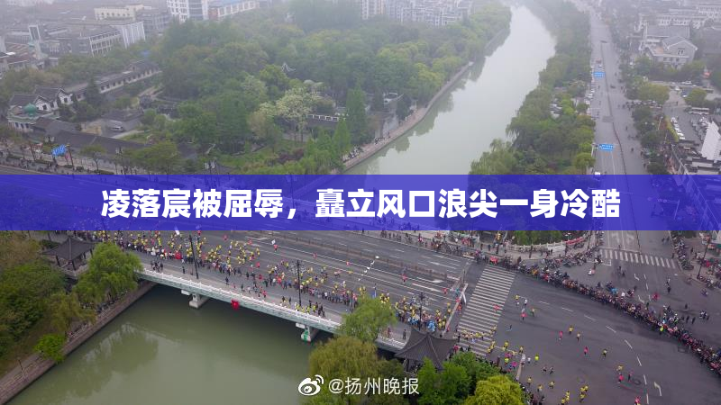 凌落宸被屈辱，矗立风口浪尖一身冷酷