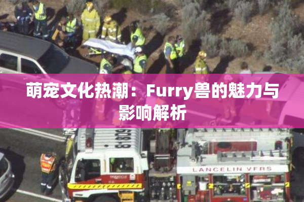 萌宠文化热潮：Furry兽的魅力与影响解析