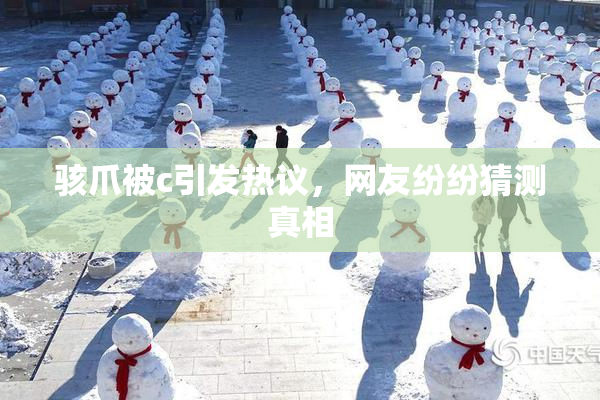 骇爪被c引发热议，网友纷纷猜测真相