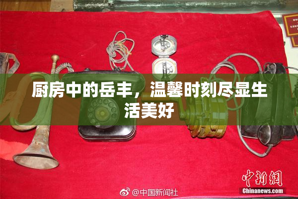 厨房中的岳丰，温馨时刻尽显生活美好