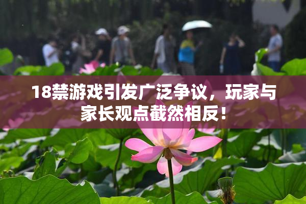 18禁游戏引发广泛争议，玩家与家长观点截然相反！