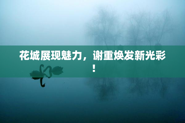 花城展现魅力，谢重焕发新光彩！
