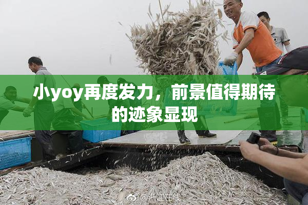 小yoy再度发力，前景值得期待的迹象显现