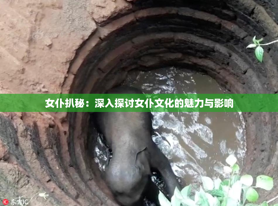 女仆扒秘：深入探讨女仆文化的魅力与影响