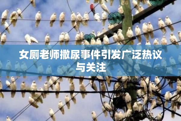 女厕老师撒尿事件引发广泛热议与关注