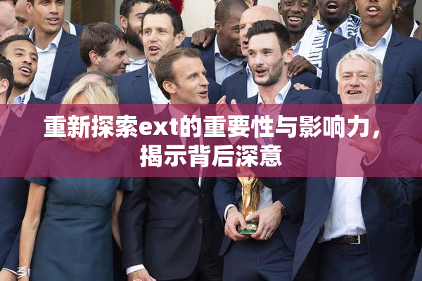 重新探索ext的重要性与影响力，揭示背后深意