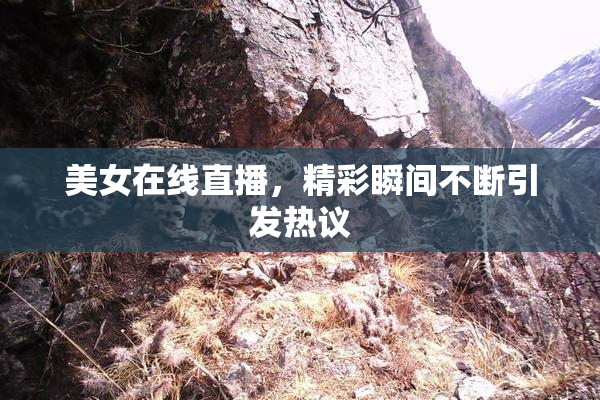 美女在线直播，精彩瞬间不断引发热议