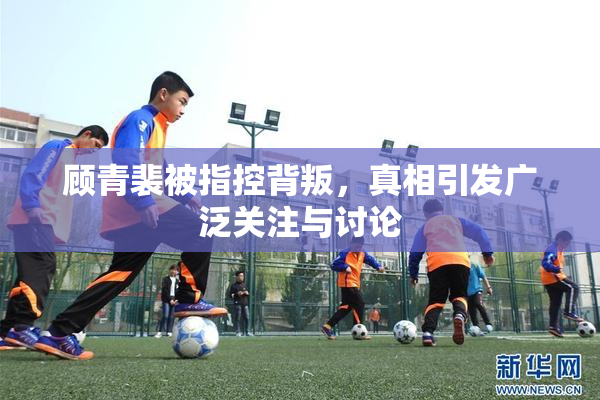 顾青裴被指控背叛，真相引发广泛关注与讨论