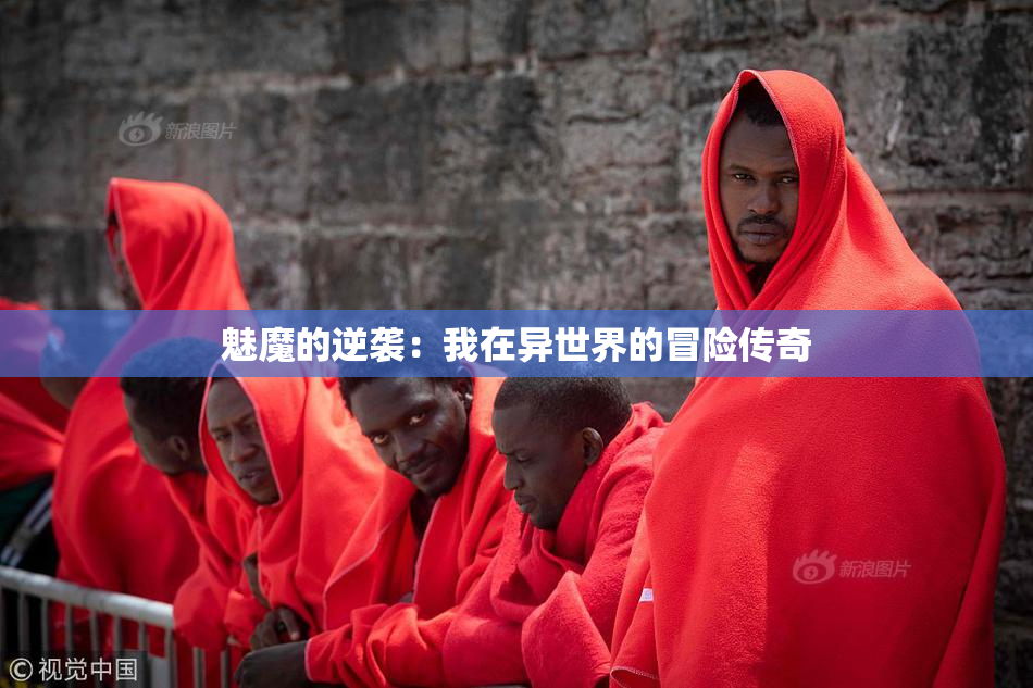 魅魔的逆袭：我在异世界的冒险传奇
