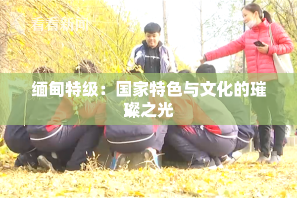 缅甸特级：国家特色与文化的璀璨之光